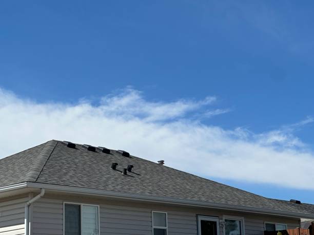 Best Cold Roofs  in White Oak, TX